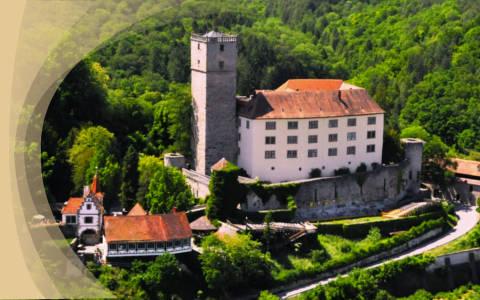 Burg_Guttenberg_Neckar